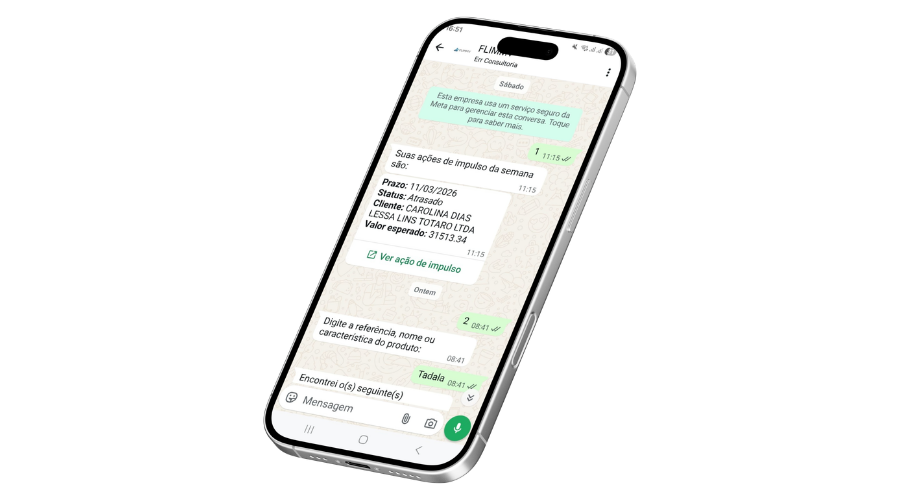 Celular exibindo uma ação de venda do FLIMMV enviada no WhatsApp do vendedor